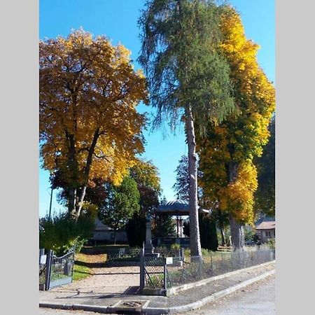 Maison Independ. 6 Personnes A 10 Mn De Gerardmer Granges-sur-Vologne Eksteriør bilde