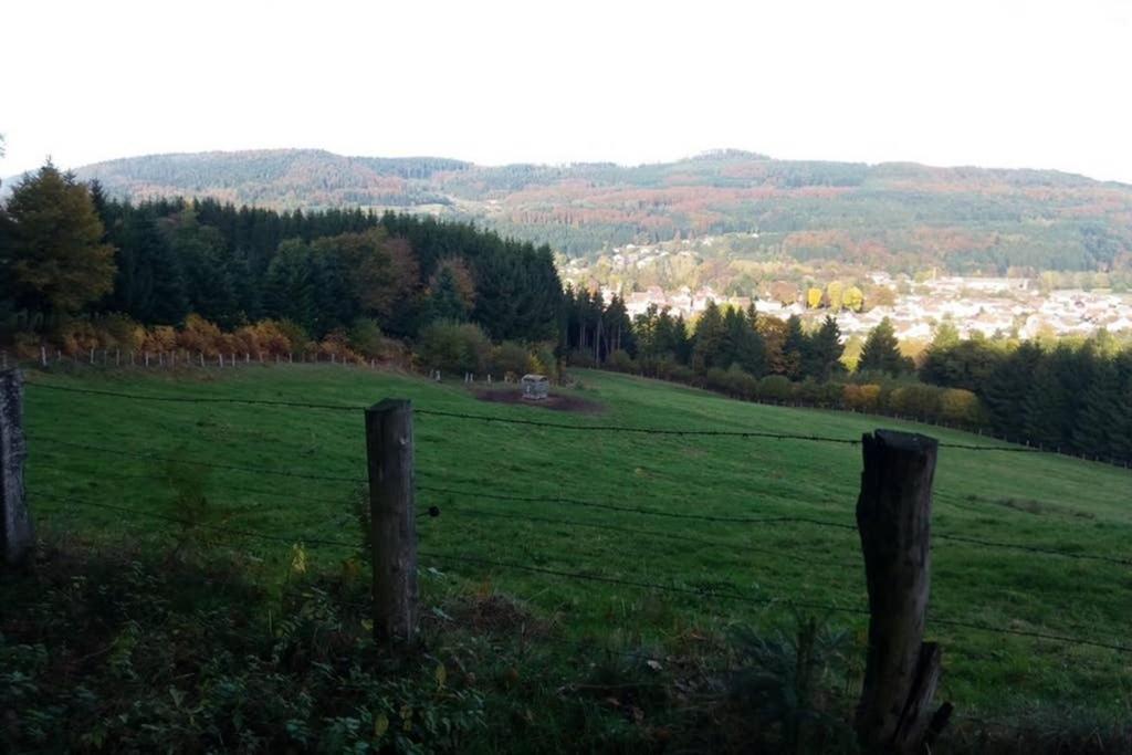 Maison Independ. 6 Personnes A 10 Mn De Gerardmer Granges-sur-Vologne Eksteriør bilde